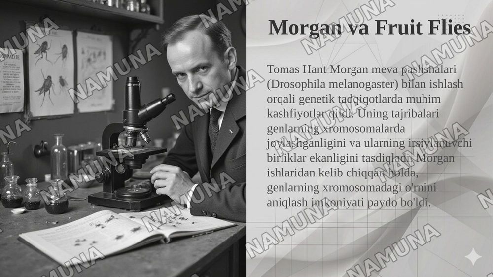 T.G.MORGANNING IRSIYATNING XROMOSOMA NAZARIYASI. GENLARNING BIRIKISH HODISASI, KROSSINGOVER. BELGILARNING JINSGA BIRIKKAN HOLDA IRSIYLANISHI. — taqdimot, 4-slayd