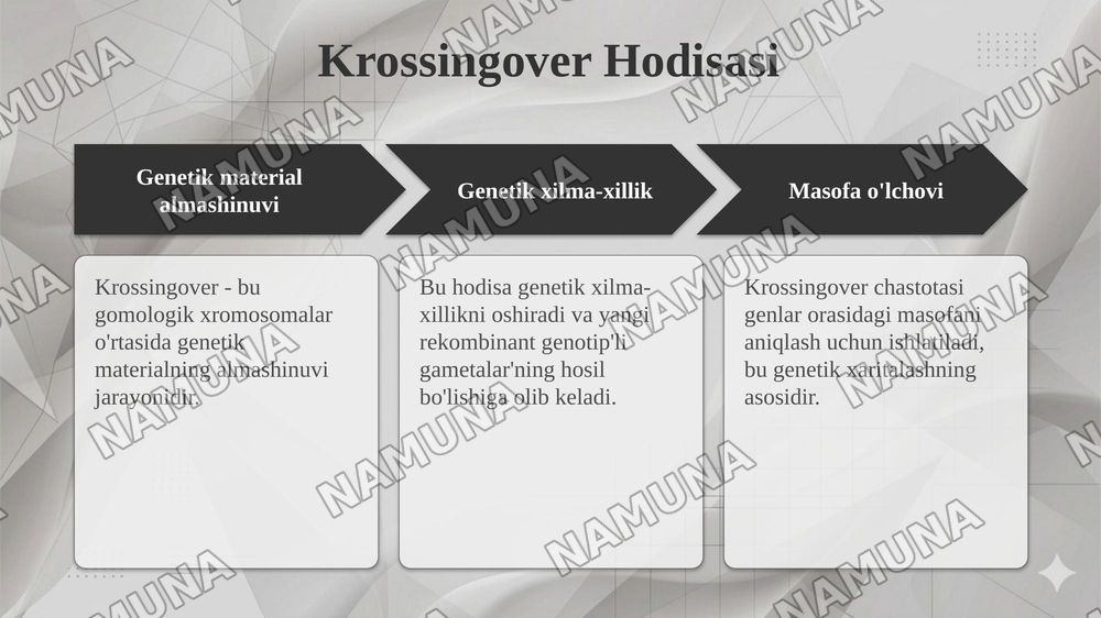 T.G.MORGANNING IRSIYATNING XROMOSOMA NAZARIYASI. GENLARNING BIRIKISH HODISASI, KROSSINGOVER. BELGILARNING JINSGA BIRIKKAN HOLDA IRSIYLANISHI. — taqdimot, 6-slayd