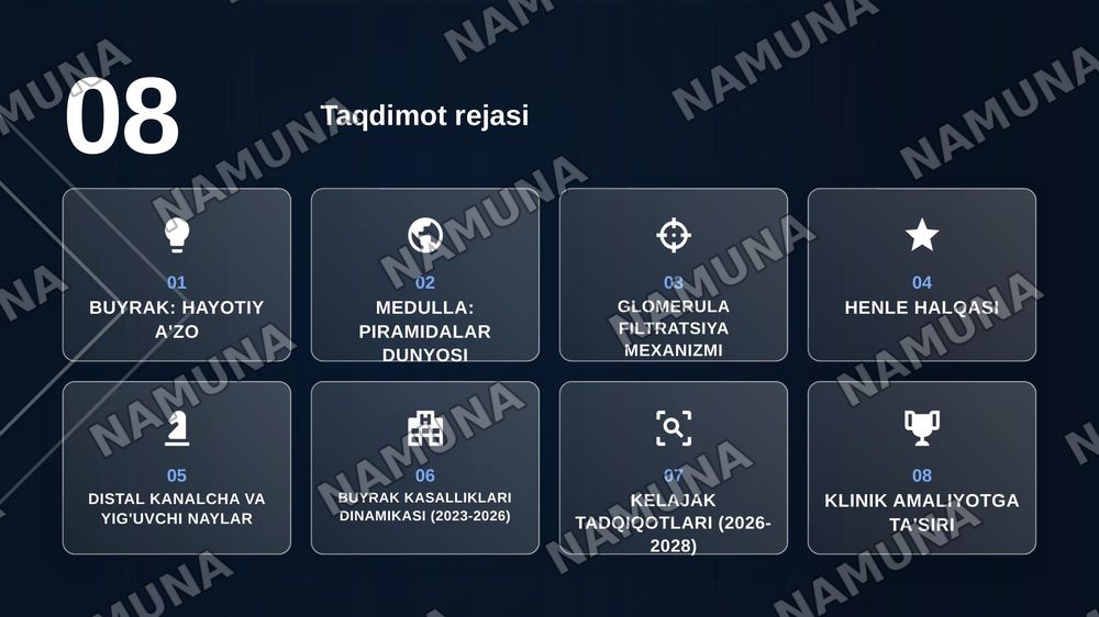 Buyrak gistologiyasi — zamonaviy taqdimot, 2-slayd