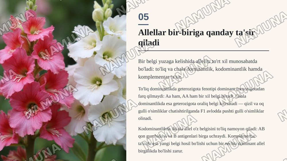 Mendelning 1-2 qonuni
Allelegenlarning oʻzaro ta’siri — zamonaviy taqdimot, 6-slayd
