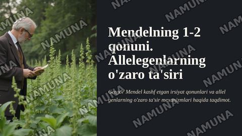 Mendelning 1-2 qonuni
Allelegenlarning oʻzaro ta’siri — zamonaviy taqdimot
