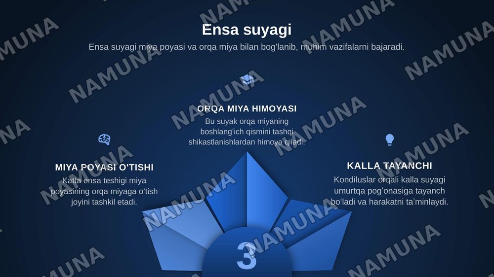 kalla skeleti ensa, tepa va ğalvirsimon suyaklar — zamonaviy taqdimot, 5-slayd