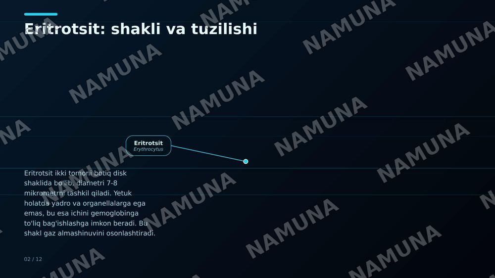 Qon tanachasi tuzilishi — zamonaviy taqdimot, 3-slayd