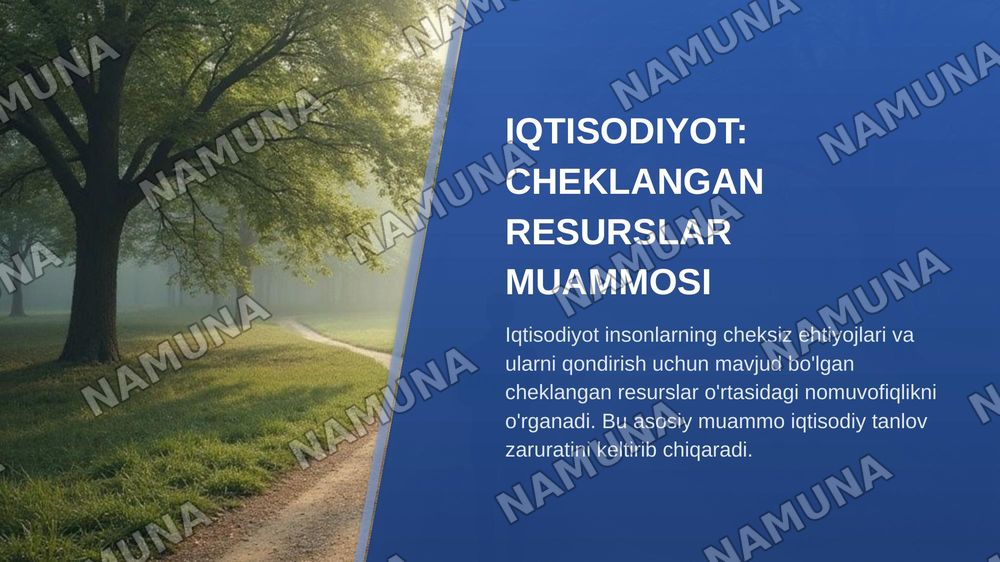 Iqtisodiyot nazariyasi — zamonaviy taqdimot, 3-slayd