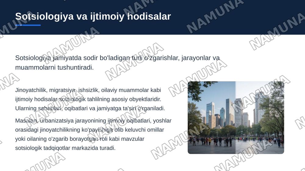 Sotsiologiyaning fanlar tizimidagi o‘rni — zamonaviy taqdimot, 6-slayd