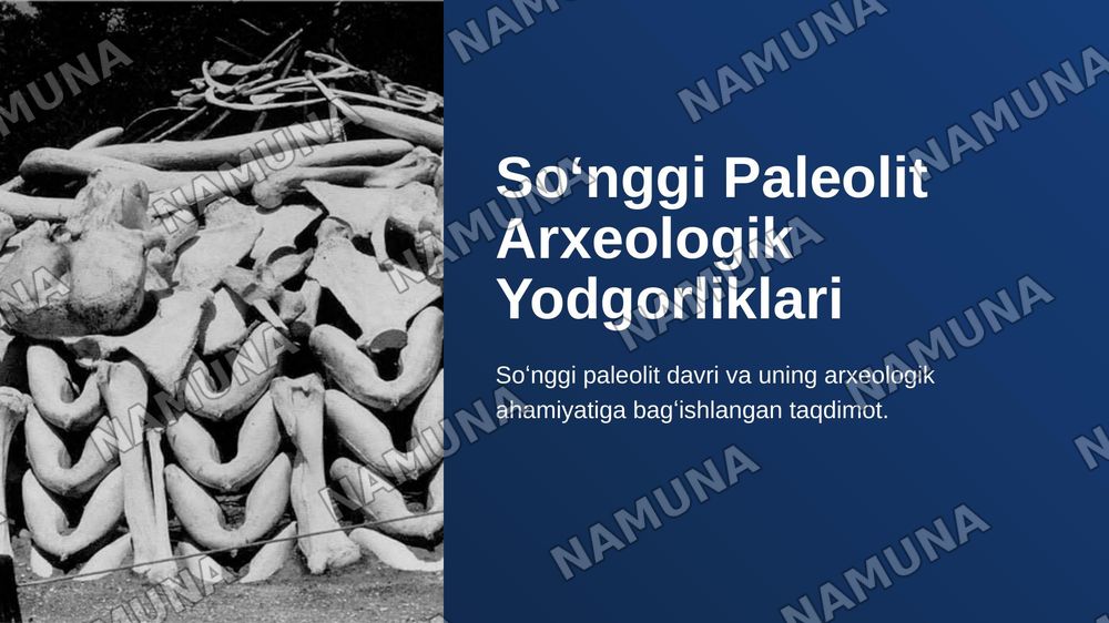 Soʻnggi paleolit arxeologik yodgorliklari — zamonaviy taqdimot, 1-slayd