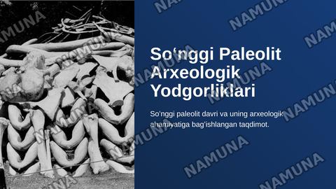 Soʻnggi paleolit arxeologik yodgorliklari — zamonaviy taqdimot