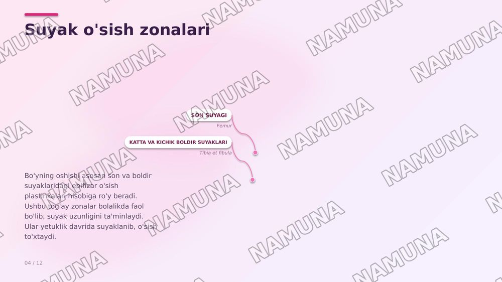 Akseleratsiya — zamonaviy taqdimot, 4-slayd