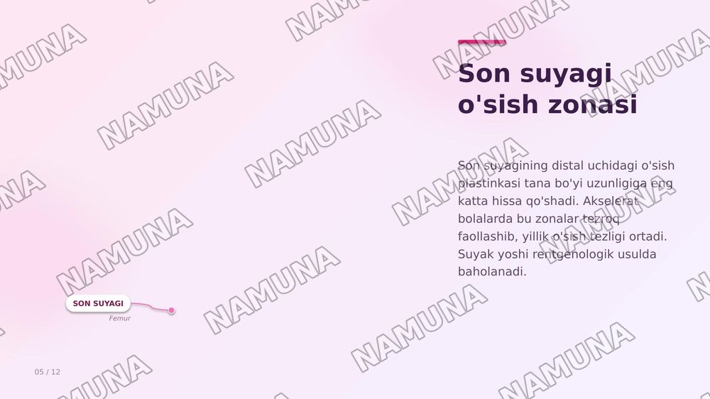 Akseleratsiya — zamonaviy taqdimot, 5-slayd