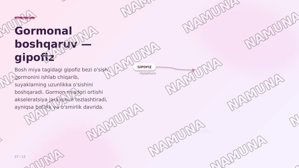 Akseleratsiya — zamonaviy taqdimot, 7-slayd