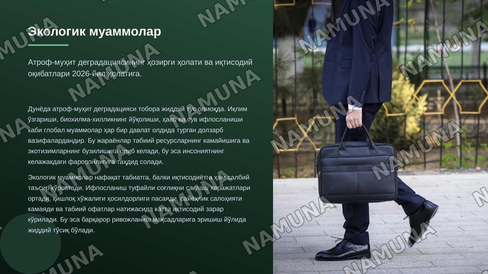 Tabiatni muxofaza qilish soxasida soliq siyosatining halqaro tajribasi — zamonaviy taqdimot, 3-slayd