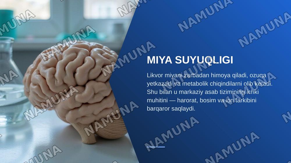 Likvor — zamonaviy taqdimot, 3-slayd
