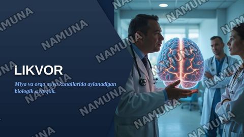 Likvor — zamonaviy taqdimot