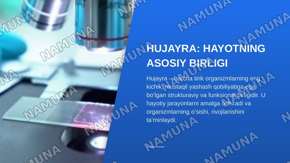 Hujayraning tuzilishi — zamonaviy taqdimot, 3-slayd