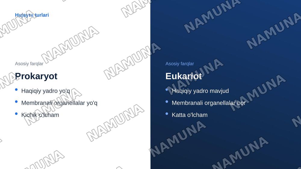 Hujayraning tuzilishi — zamonaviy taqdimot, 4-slayd