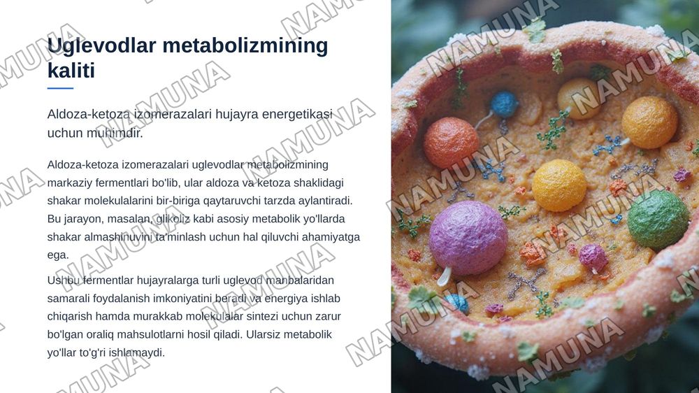 Aldoza-ketoza izomerazalari — zamonaviy taqdimot, 3-slayd