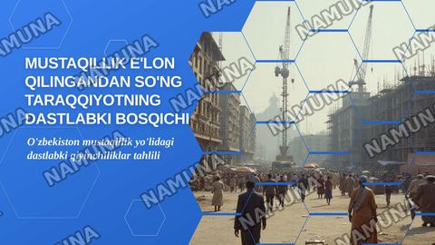 Mustaqillik e'lon qilinganda so'ng taraqqiyotning dastlabki bosqichidagi muammolar — zamonaviy taqdimot