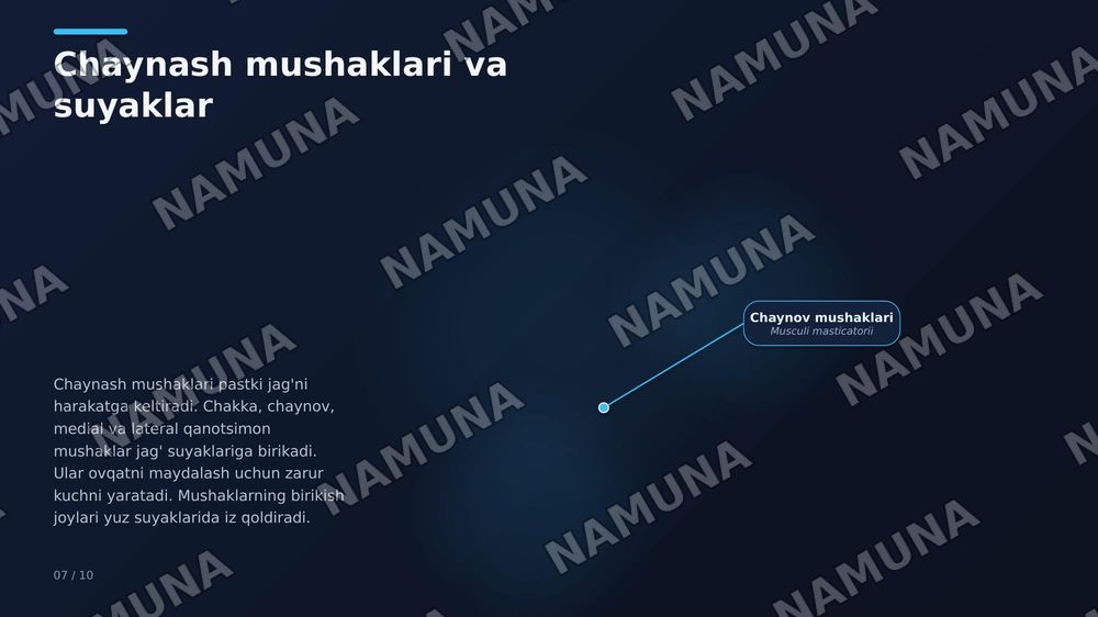 Yuz suyaklari — zamonaviy taqdimot, 8-slayd