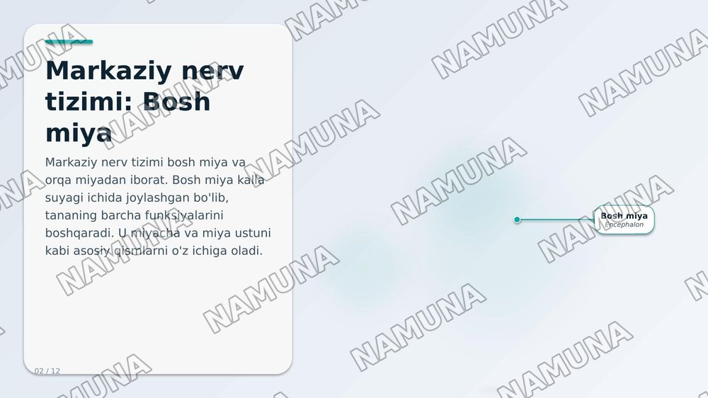 Inson nerv aistemasi — zamonaviy taqdimot, 2-slayd