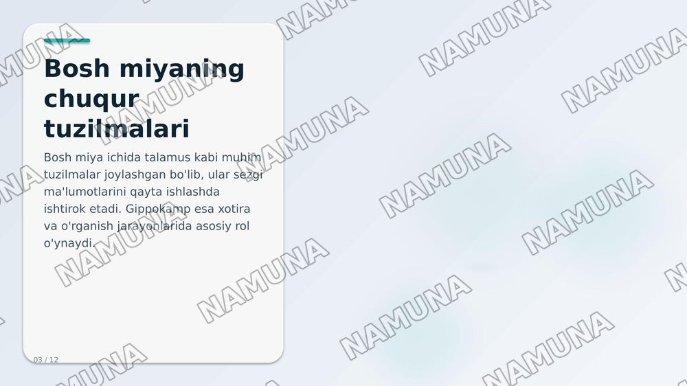 Inson nerv aistemasi — zamonaviy taqdimot, 3-slayd