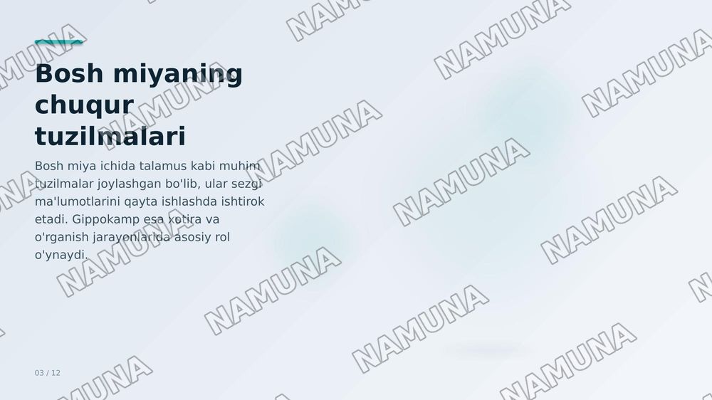 Inson nerv aistemasi — zamonaviy taqdimot, 4-slayd
