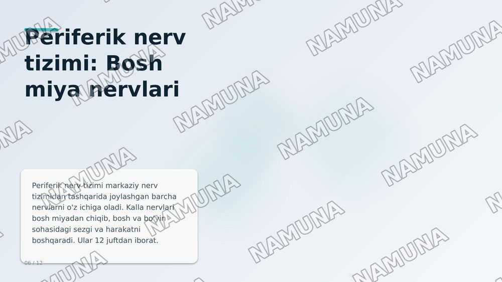 Inson nerv aistemasi — zamonaviy taqdimot, 8-slayd
