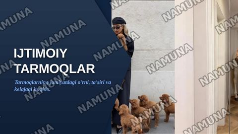 Ijtimoiy tarmoqlar — zamonaviy taqdimot