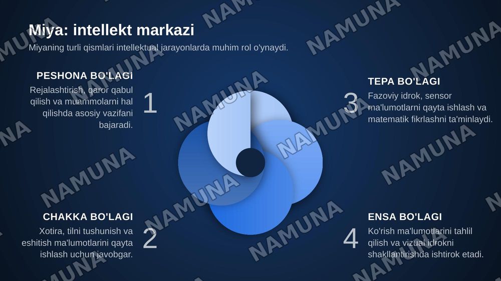 Intellekt so’zining ma’nosi va tushunchasi. Insonning aqliy qobilyatini rivojlantirish usullari. — zamonaviy taqdimot, 7-slayd