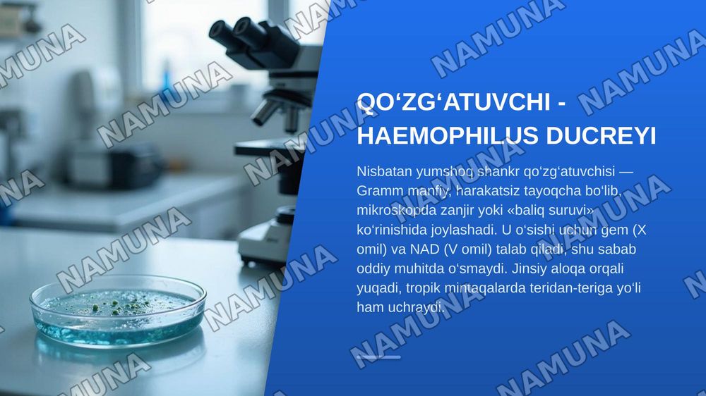 Yumshoq shankr. Venerik limfogranulema. Donovanoz.  Zaxmning yomon sifatli kechishi haqida tushuncha. Patogenezi, klinik namoyon bo‘lishining o‘ziga xosligi — zamonaviy taqdimot, 7-slayd