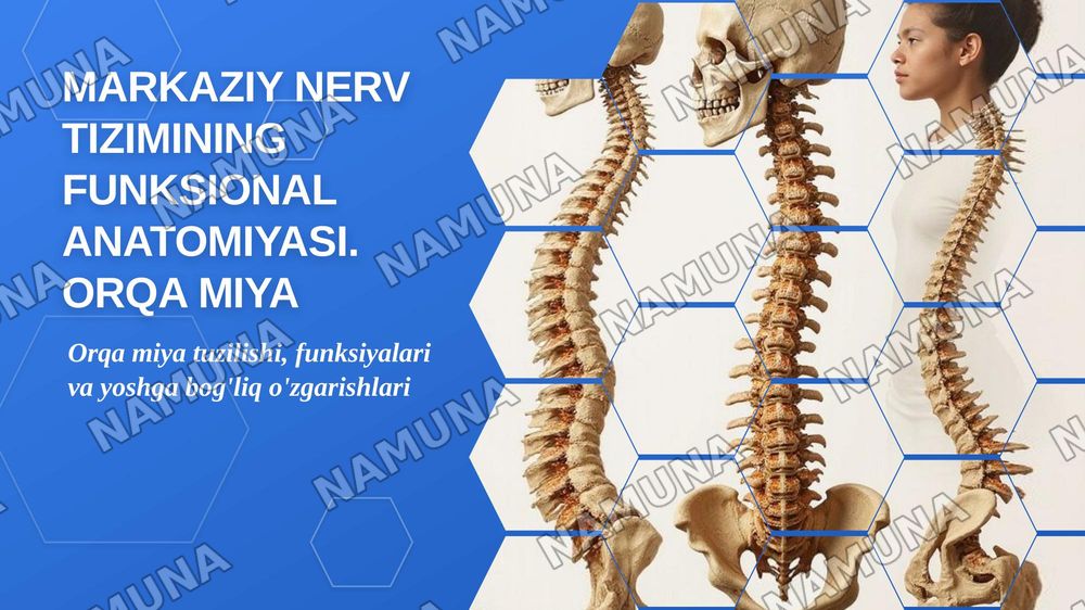 Markazir nerv tizimining funksional anatomiyasi.Orqa miya va orqa miya pardalari uning yoshga doir xususiyatlari — zamonaviy taqdimot, 1-slayd