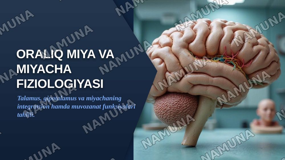 Oraliq miya va miyacha fiziologiyasi — zamonaviy taqdimot, 1-slayd