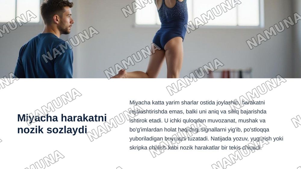 Oraliq miya va miyacha fiziologiyasi — zamonaviy taqdimot, 5-slayd