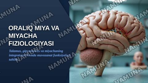 Oraliq miya va miyacha fiziologiyasi — zamonaviy taqdimot