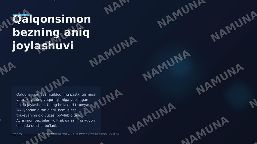 Qalqonsimon bez — zamonaviy taqdimot, 2-slayd