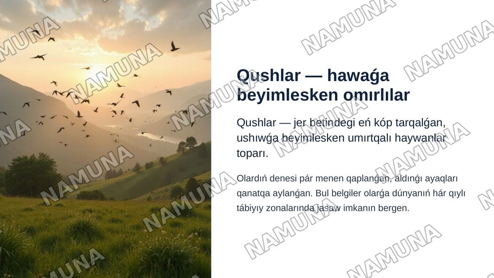 QUSLAR – AVES KLASÍ. QUSLARǴA TÁN ULÍWMAQÁSIYETLER. QUSLAR KLASÍ SISTEMATIKASÍ. — zamonaviy taqdimot, 3-slayd