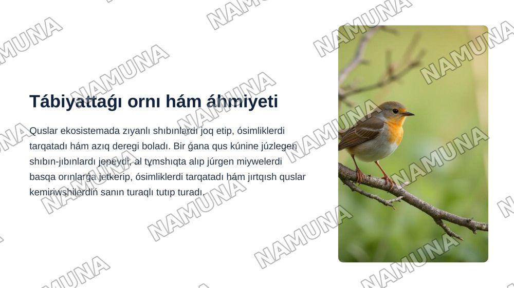 QUSLAR – AVES KLASÍ. QUSLARǴA TÁN ULÍWMAQÁSIYETLER. QUSLAR KLASÍ SISTEMATIKASÍ. — zamonaviy taqdimot, 7-slayd