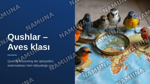 QUSLAR – AVES KLASÍ. QUSLARǴA TÁN ULÍWMAQÁSIYETLER. QUSLAR KLASÍ SISTEMATIKASÍ. — zamonaviy taqdimot