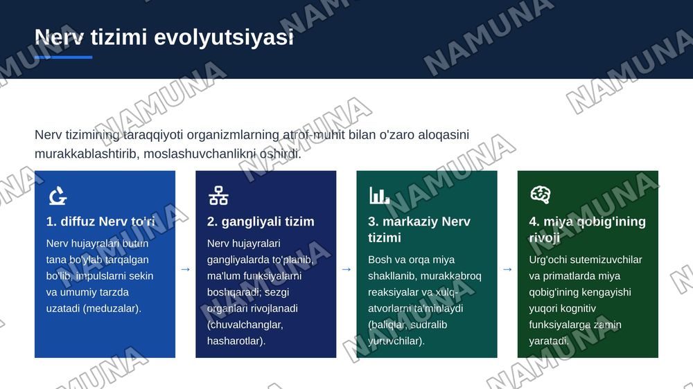 Psixikaning filogenetik taraqqiyoti — zamonaviy taqdimot, 5-slayd