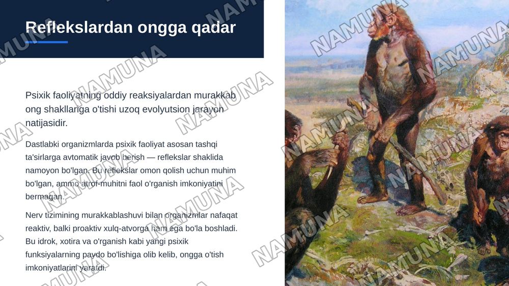 Psixikaning filogenetik taraqqiyoti — zamonaviy taqdimot, 6-slayd