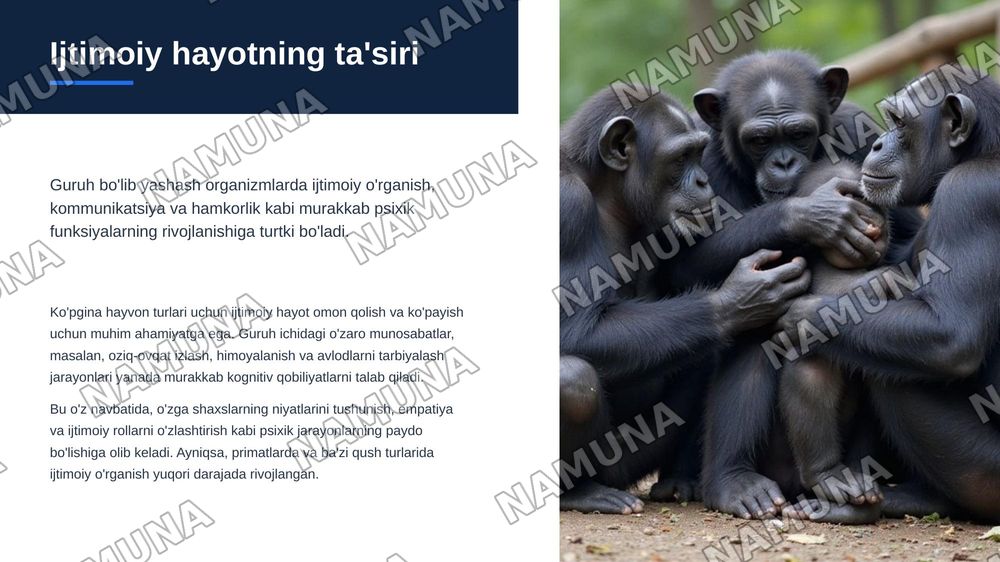 Psixikaning filogenetik taraqqiyoti — zamonaviy taqdimot, 8-slayd