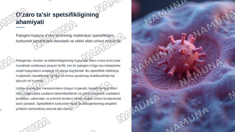 "Patogen-xo'jayin", "virus-hujayra", va"bakteriofag-bakterial hujayra"o'zaro ta'siriningmolekulyar spetsifikligi — zamonaviy taqdimot, 3-slayd