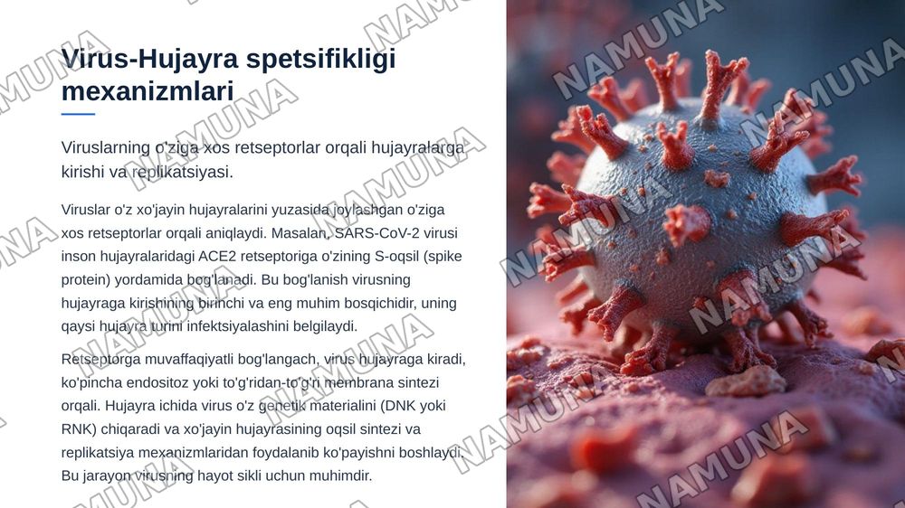 "Patogen-xo'jayin", "virus-hujayra", va"bakteriofag-bakterial hujayra"o'zaro ta'siriningmolekulyar spetsifikligi — zamonaviy taqdimot, 6-slayd