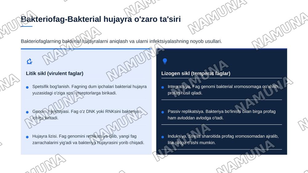 "Patogen-xo'jayin", "virus-hujayra", va"bakteriofag-bakterial hujayra"o'zaro ta'siriningmolekulyar spetsifikligi — zamonaviy taqdimot, 7-slayd