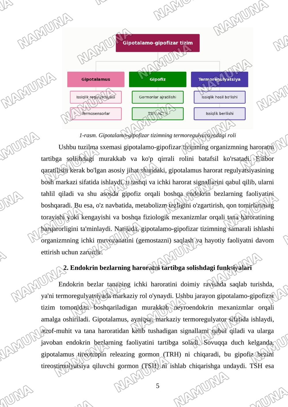 Termoregulyatsiya Endokrin bezlar fiziologiyasi Gipotalamo gipofizar tizim — mustaqil ish, 5-varaq