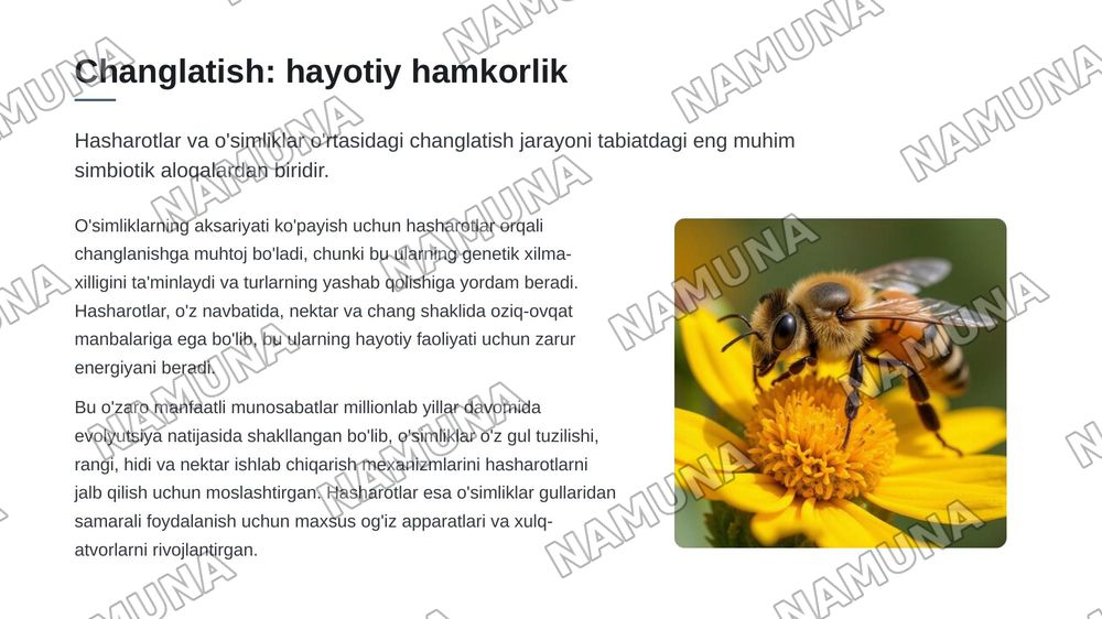 Хашоратлар ва усимликлар уртасидаги экологик муносабатлар — zamonaviy taqdimot, 4-slayd