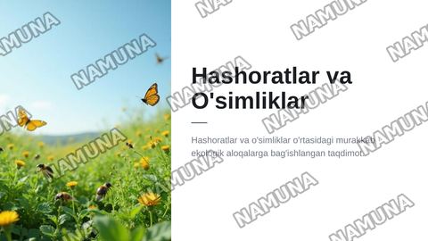 Хашоратлар ва усимликлар уртасидаги экологик муносабатлар — zamonaviy taqdimot