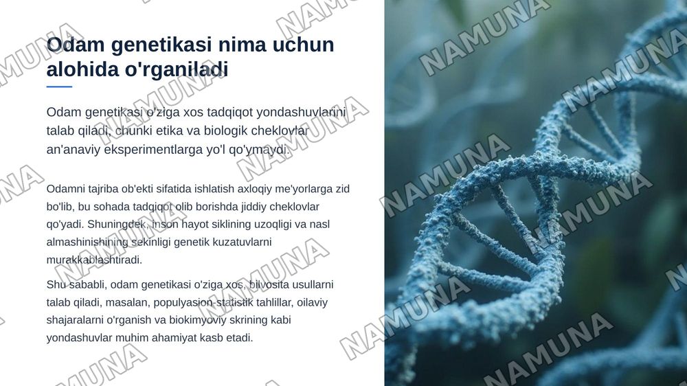 Odam genetikasining o'rganish usullari. Populyasion-statistik usul, dermotoglifika va biokimyoviy usullari — zamonaviy taqdimot, 3-slayd