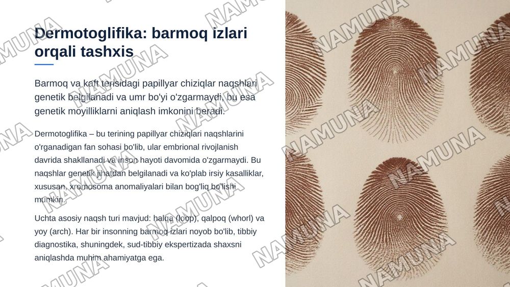 Odam genetikasining o'rganish usullari. Populyasion-statistik usul, dermotoglifika va biokimyoviy usullari — zamonaviy taqdimot, 5-slayd