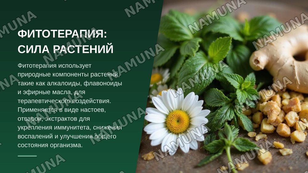 Современные методы народной медицины — zamonaviy taqdimot, 8-slayd