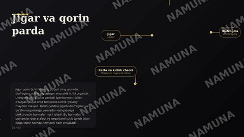 jigar qorin parda — zamonaviy taqdimot